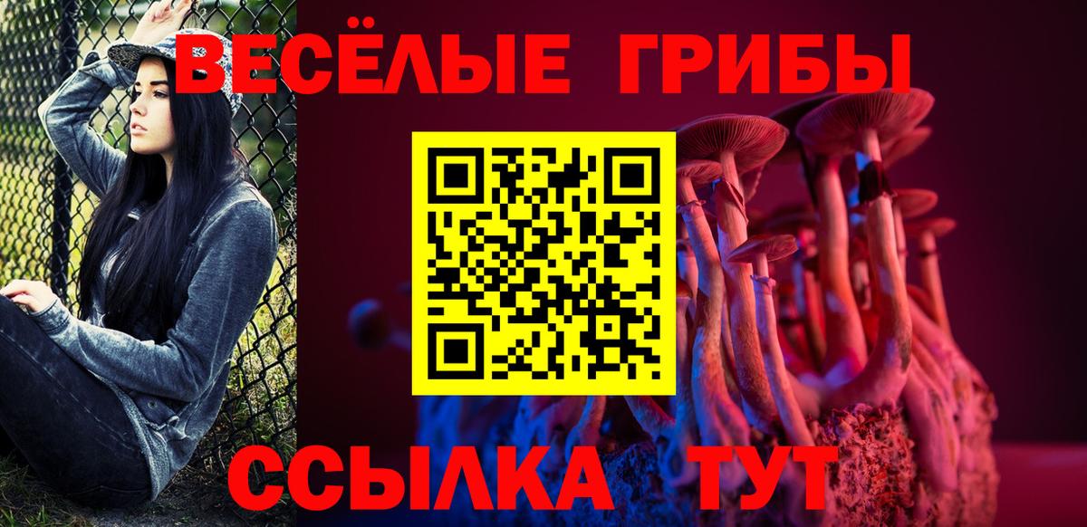 Галлюциногенные грибы GOLDEN TEACHER Кольчугино