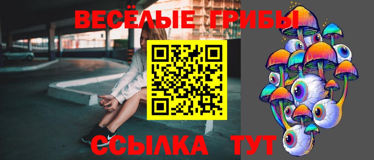 Псилоцибиновые грибы Cubensis  наркошоп  Вход с VPN  Кольчугино  Галлюциногенные грибы ЛСД 